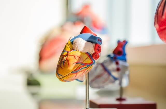 The heart is just one body part that can be damaged by untreated OSA. Learn how Sleep Apnea and hypertension are closely related.